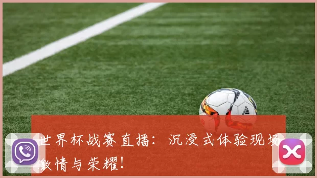 世界杯战赛直播:沉浸式体验现场激情与荣耀!