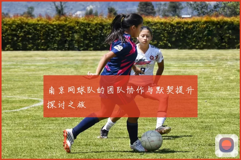 南京网球队的团队协作与默契提升探讨之旅
