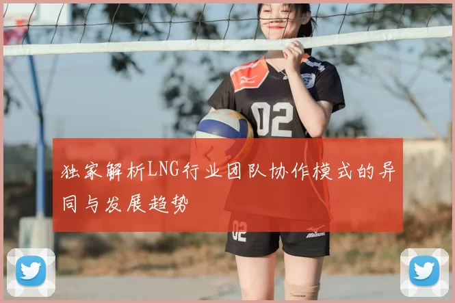独家解析LNG行业团队协作模式的异同与发展趋势