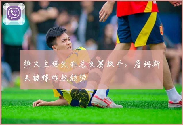 热火主场失利总决赛扳平,詹姆斯关键球难救颓势