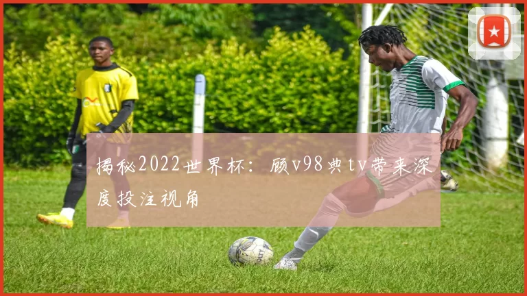 揭秘2022世界杯：顾v98典tv带来深度投注视角