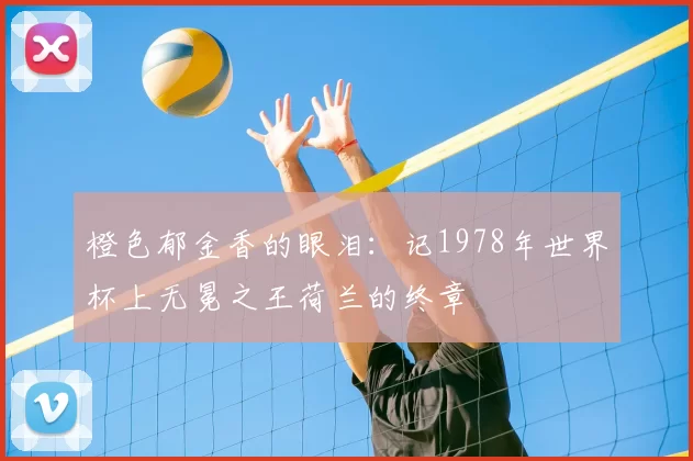 橙色郁金香的眼泪:记1978年世界杯上无冕之王荷兰的终章