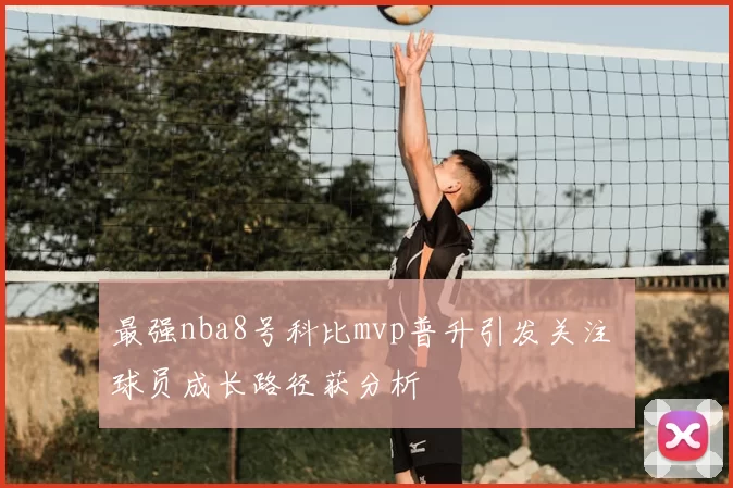 最强nba8号科比mvp普升引发关注 球员成长路径获分析
