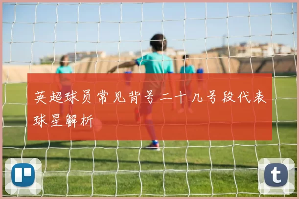 英超球员常见背号二十几号段代表球星解析