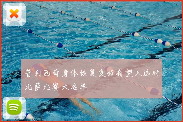普利西奇身体恢复良好有望入选对比萨比赛大名单