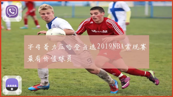 字母哥力压哈登当选2019NBA常规赛最有价值球员