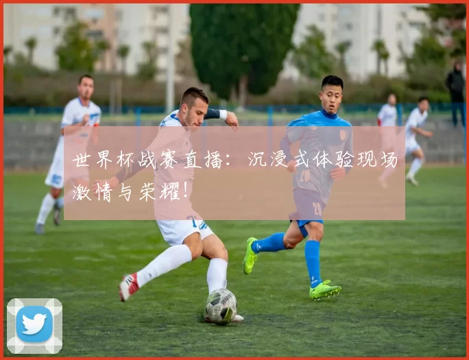 世界杯战赛直播:沉浸式体验现场激情与荣耀!