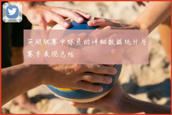 英超联赛中球员的详细数据统计与赛季表现总结