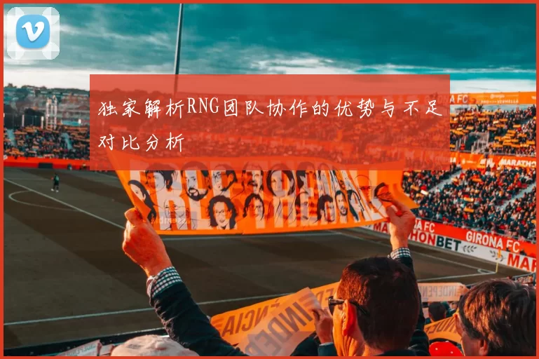 独家解析RNG团队协作的优势与不足对比分析