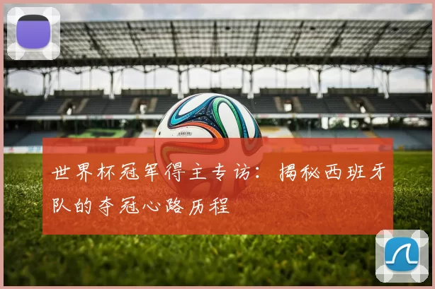世界杯冠军得主专访：揭秘西班牙队的夺冠心路历程