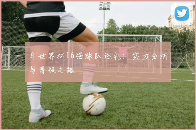 年世界杯16强球队巡礼:实力分析与晋级之路