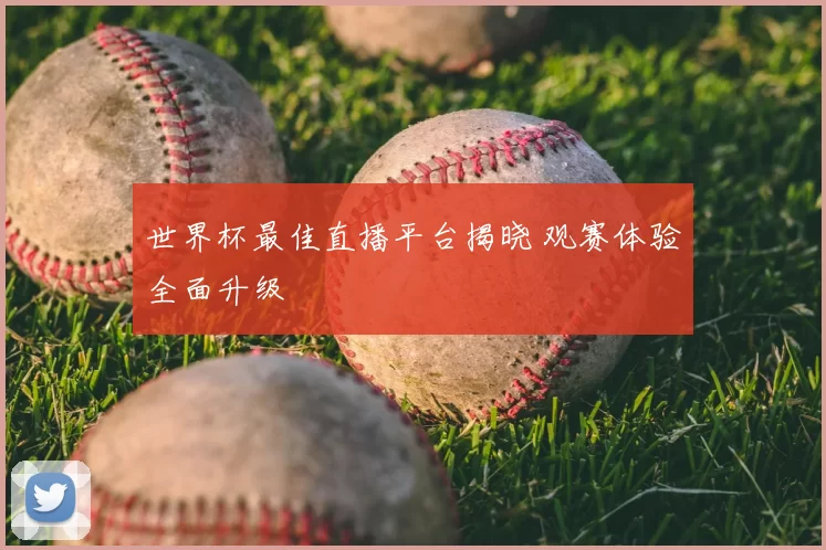 世界杯最佳直播平台揭晓 观赛体验全面升级