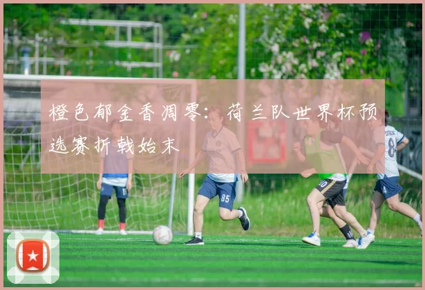 橙色郁金香凋零：荷兰队世界杯预选赛折戟始末