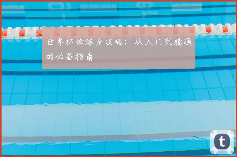 世界杯堵球全攻略:从入门到精通的必备指南